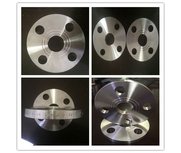 Stainless Steel Cast Flanges