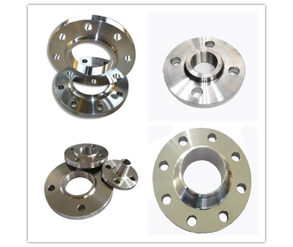 Stainless Steel Forged Flanges