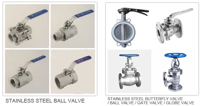 Stainless Steel Valves