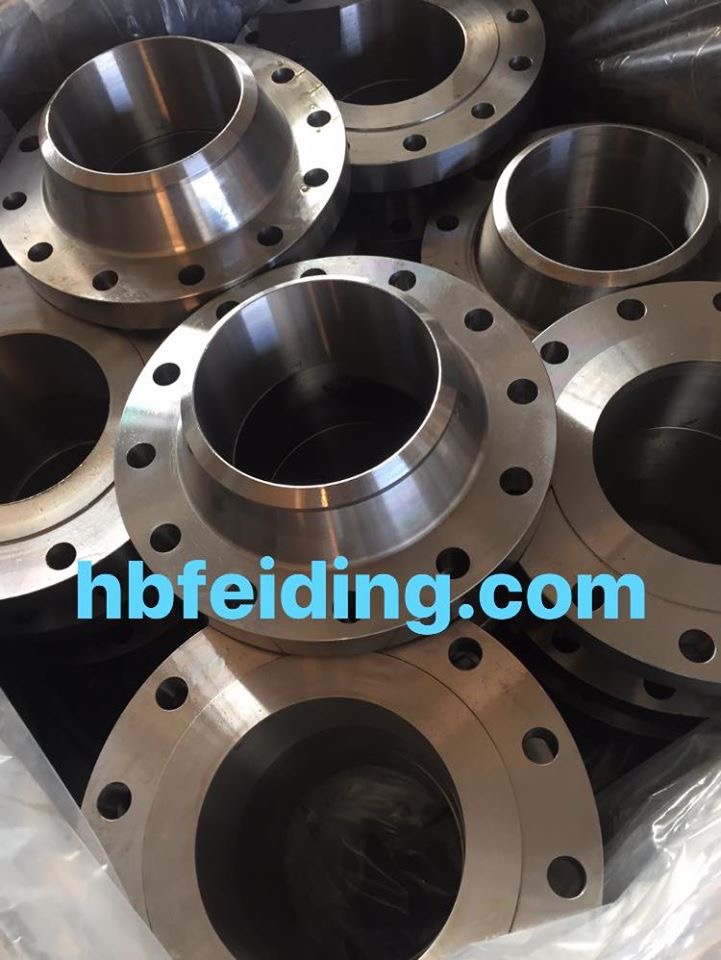 Forged Flanges