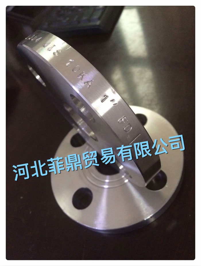 Stainless Steel Cast Flanges